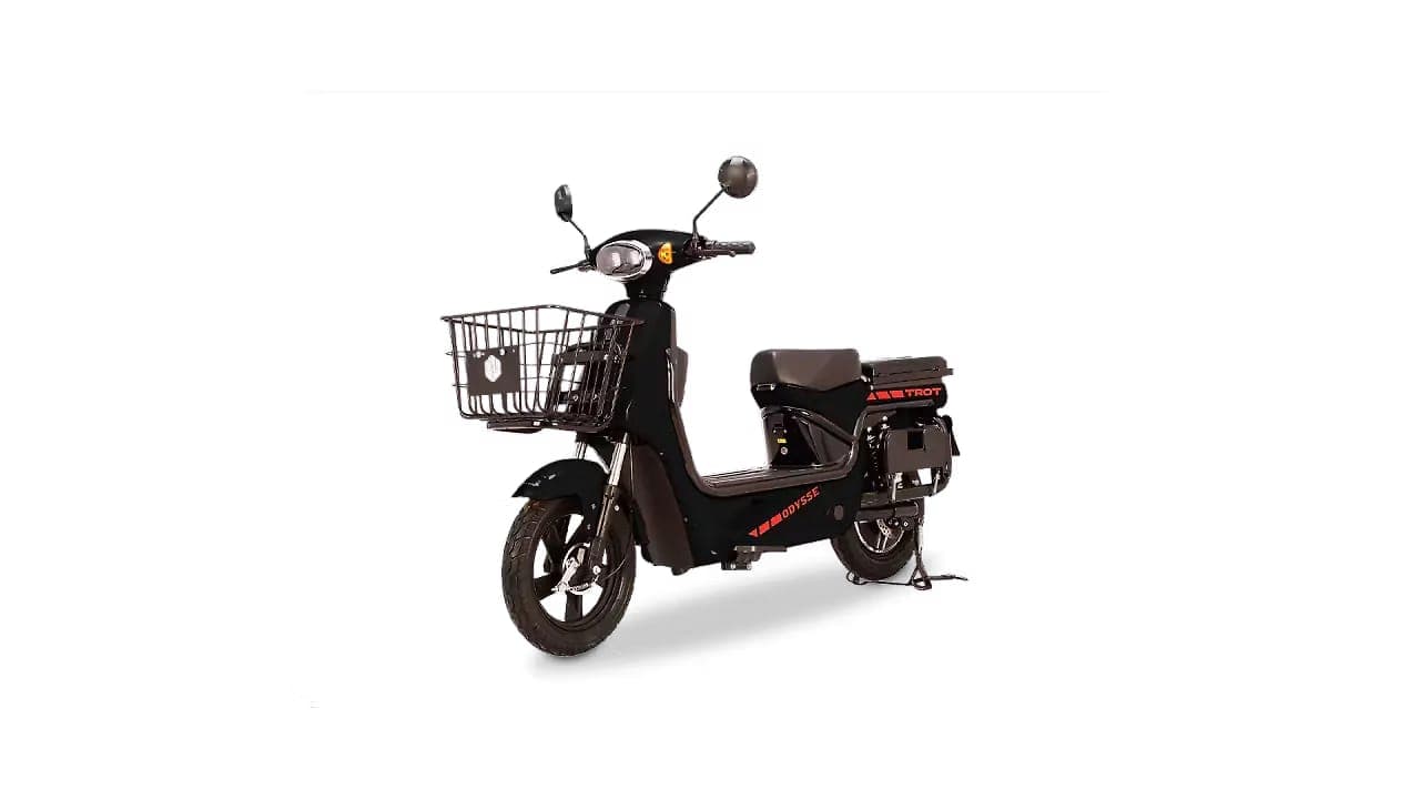 Odysse Trot left front three-quarter view